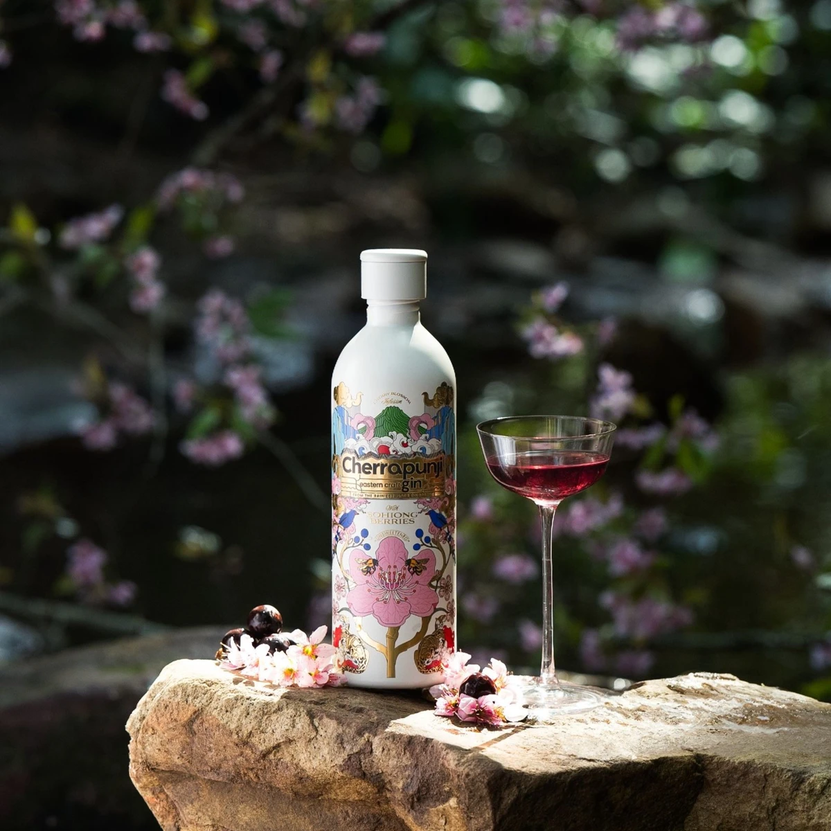 Cherrapunji’s Sohiong gin and cocktail, photographed among cherry blossoms in Meghalaya.